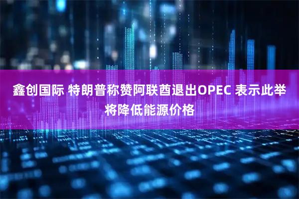 鑫创国际 特朗普称赞阿联酋退出OPEC 表示此举将降低能源价格
